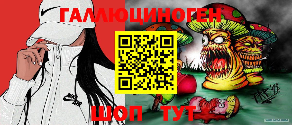 Галлюциногенные грибы Psilocybine cubensis Тавда