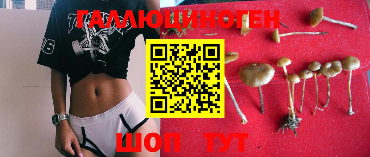 Тавда  сколько стоит  Вход с VPN  Галлюциногенные грибы GOLDEN TEACHER 
